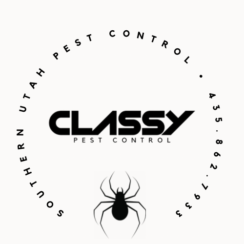Classy Pest Control for Earwig Infestations in Southern Utah